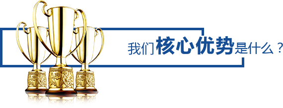 核心優(yōu)勢是什么？