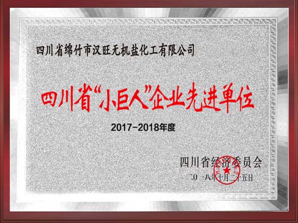 四川省小巨人企業(yè)先進(jìn)單位
