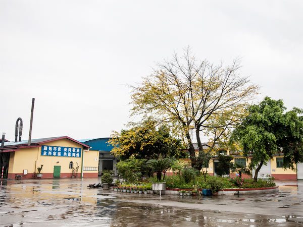 1543219603354529.jpg 2.jpg