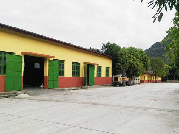 1543219656320800.jpg 6.jpg